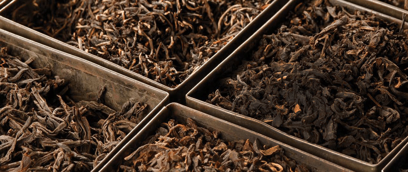 MJF Exports Wholesale Tea Suppliers in Sri Lanka Official site