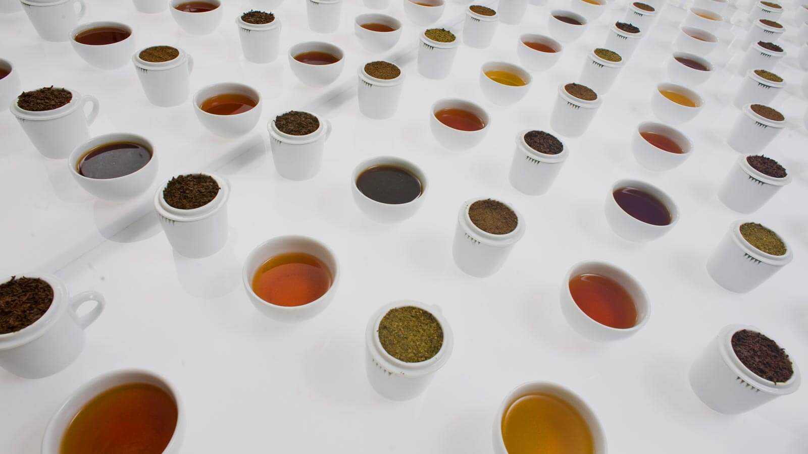 MJF Exports Wholesale Tea Suppliers in Sri Lanka Official site